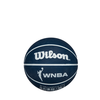 CT Sun Wilson Mini Dribbler Ball