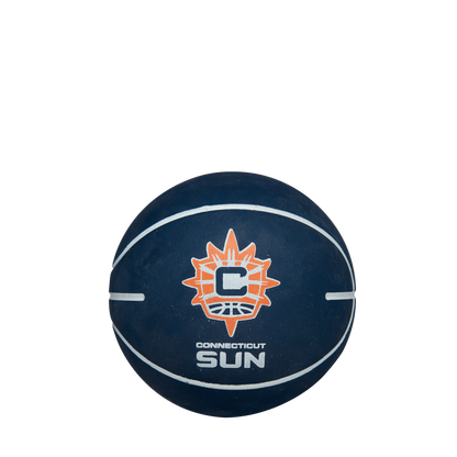 CT Sun Wilson Mini Dribbler Ball